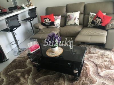 ST105P275 (3)