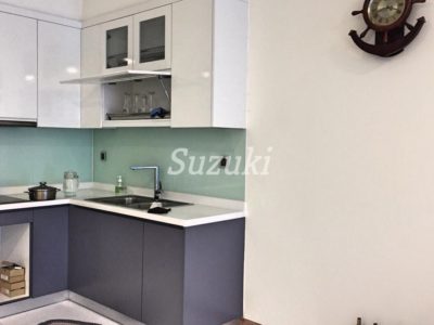 ST105P2871 (2)