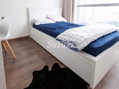 ST105P2904 (4)