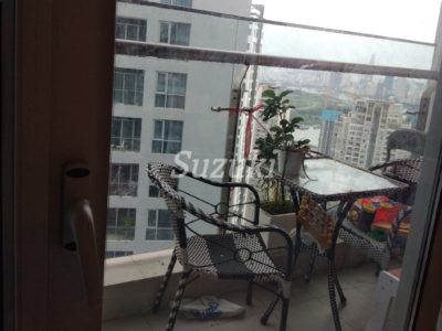 ST105P2915 (6)