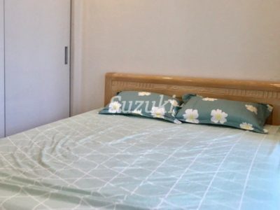 ST105P3256 (4)