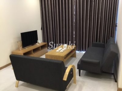 ST105P3387 (4)