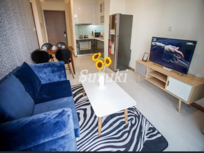 ST105P3821 (1)