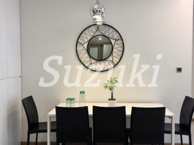 ST105P4291 (3)