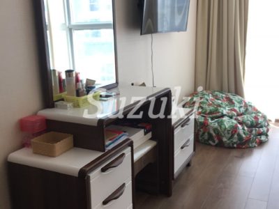 ST105P4493 (6)