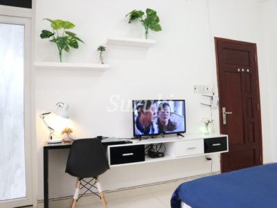 ST99096 (1)
