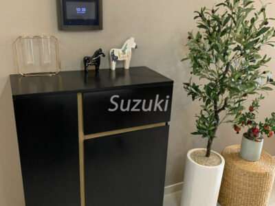 q2 1bed 850$ include mgf (6)