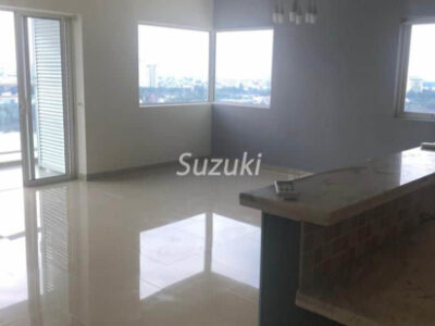 River Garden 2 Bedroom Fully Furnished And Riverview Apartment21