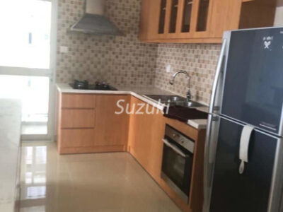 River Garden 2 Bedroom Fully Furnished And Riverview Apartment22