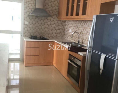 River Garden 2 Bedroom Fully Furnished And Riverview Apartment22