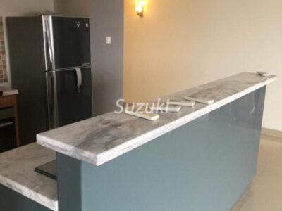 River Garden 2 Bedroom Fully Furnished And Riverview Apartment23