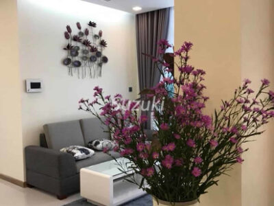 V9209 High Floor Park 04 Apartment For Rent 3
