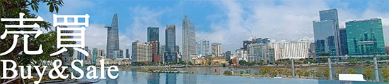 Banner for buy and sale real estate in Vietnam