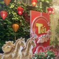 Ho Chi Minh Suzuki Real Estate's On-Site Response Report | Handover, Rental Guidance, and Lifestyle Support After Tet Holiday [Late February 2026]