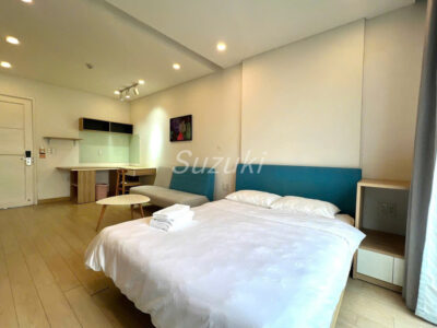 Belong Thao dien D2 studio 30m2 700 3 result