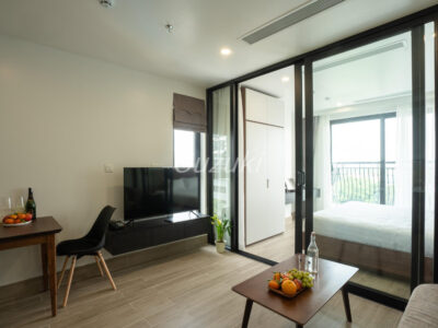 SQ Thảo Điền 1 phòng ngủ 1100 3 kết quả