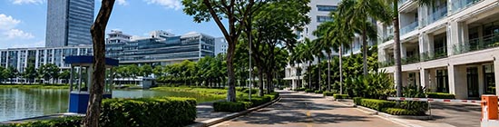 serviced apartment 2